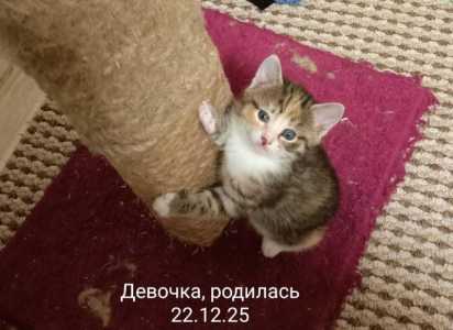 �����