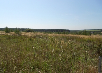 Богородский район