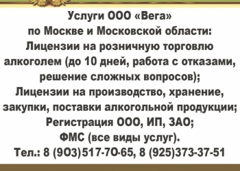 Юридическая компания Вега