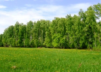 Продаётся земельный участок Московская область Чеховский район