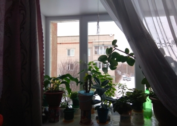 2-к квартира, 51 м2, 2/3 эт.