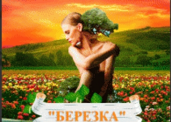Требуются курьеры !