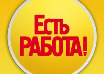 Вакансии для начинающих трейдеров