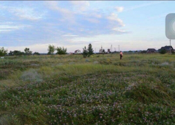 Срочно продам земельный участок