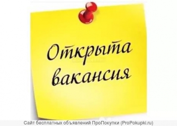 Курьер-регистратор