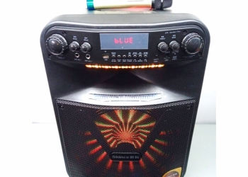 Портативная колонка Shinco N12