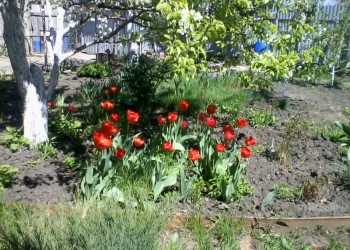 Дом 120 м2 и гараж 60 м2