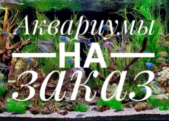 Аквариумы на Заказ