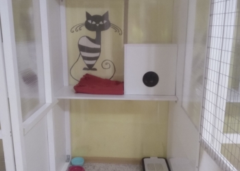 Гостиница для животных Котопес