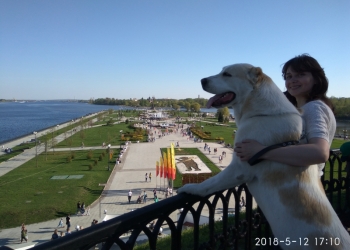 Очень крупный серьёзный мальчик алабайчик и красавица девочка