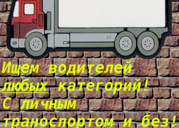 Водитель