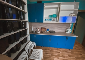Комната в 6-к 15 м2, 1/22 эт.