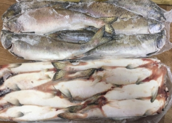 Свежемороженная рыба и морепродукты. Высокое качество и низкие цены. ОПТ