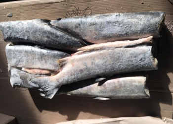 Свежемороженная рыба и морепродукты. Высокое качество и низкие цены. ОПТ