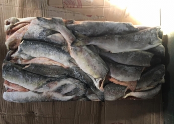 Свежемороженная рыба и морепродукты. Высокое качество и низкие цены. ОПТ