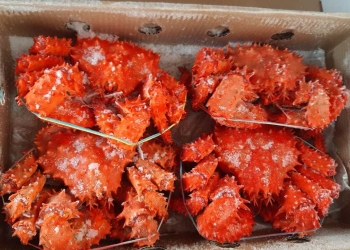 Свежемороженная рыба и морепродукты. Высокое качество и низкие цены. ОПТ