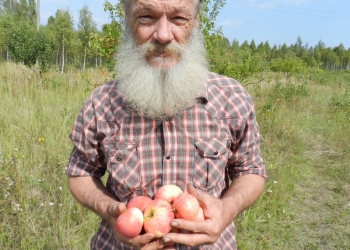 Посадка, прививка, подрезка плодовых деревьев
