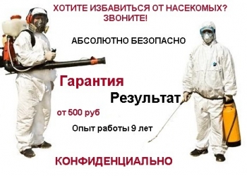 Уничтожение насекомых, тараканы, клопы, блохи. Конфиденциально. Гарантия