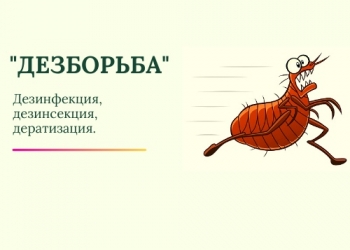 Дезинфекция, Дезинсекция, Дератизация, Гербицидная обработка, Дезодорация.