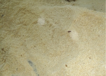 Опилки стружка