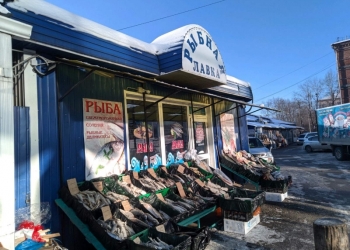 Продам готовый бизнес