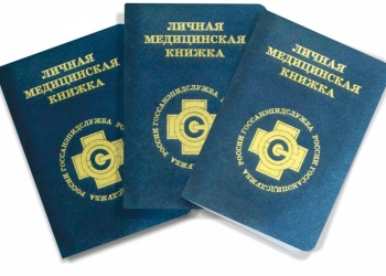 Санкнижка за 1 день. 1200 руб.