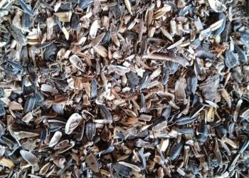 Отходы семечек