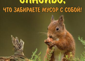 Стенд "Соблюдайте чистоту"