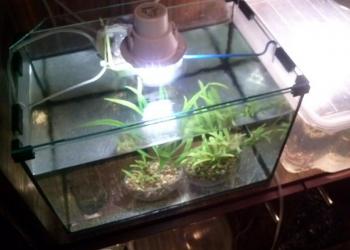 Продам аквариум