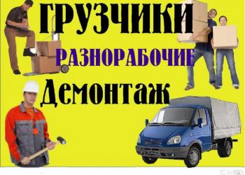 грузчики волгограда