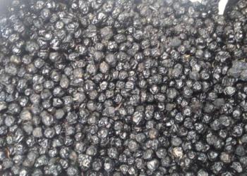 Ягода Бархата.