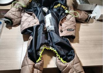 Комбинезон для собаки.