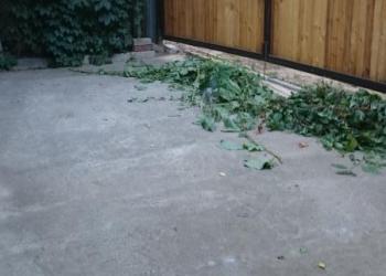 продаю дачу