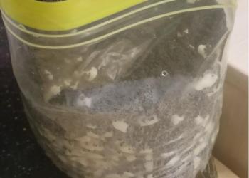 Аквариум со всеми принадлежностями к нему