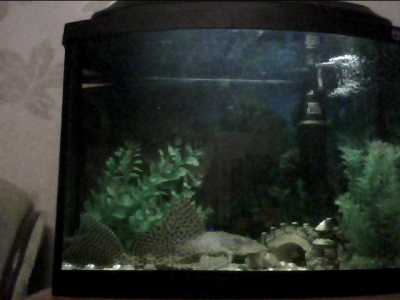 АКВАРИУМ 60Л.