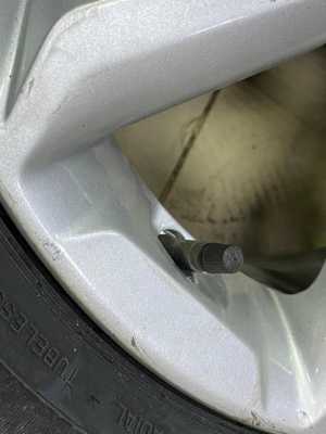 ���� 175/65R14 Eagle Sport � ������������� ������� Ford ����� 4 ���������