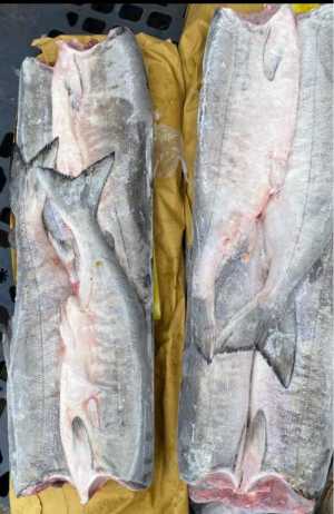 Кета свежемороженая