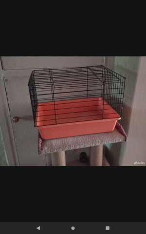 Для грызунов