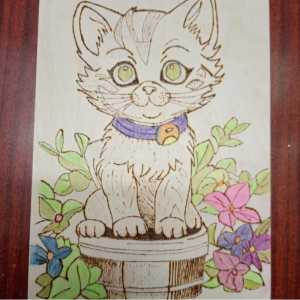 Рисунки выжженые