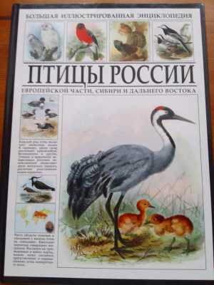 Энциклопедия 254 стр.