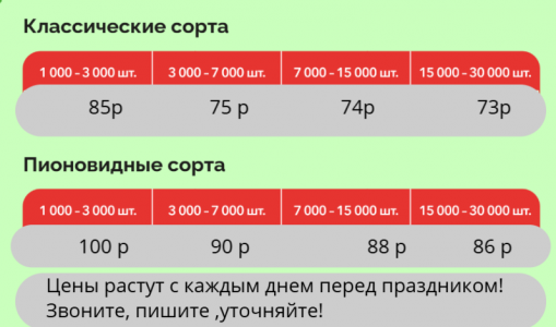 Тюльпаны оптом