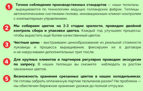 Тюльпаны оптом