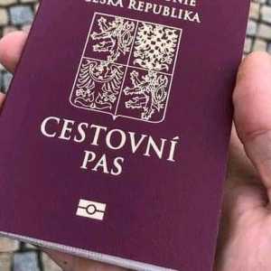 Оформление гражданства ЕС