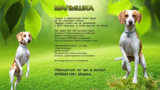 Прекрасная малышка ищет семью