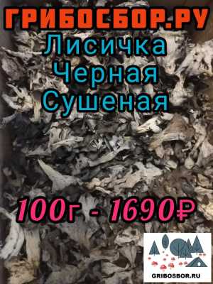 Лисичка сушеная, Черная, 100г