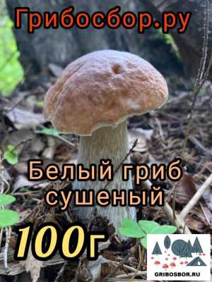Белые грибы, сушеные 100г