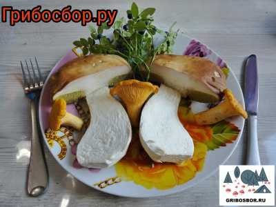 Белые грибы, сушеные 100г