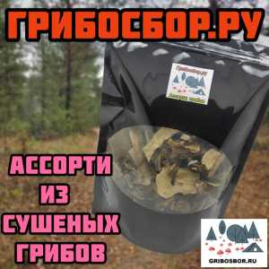 Ассорти из сушеных грибов 100г