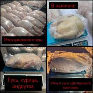 Домашнее мясо птицы халяль