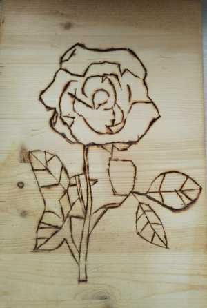 Рисунки выженые на дереве